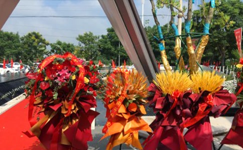 ��_�I(y��)ͨ�棨ͨ��10ƪ��