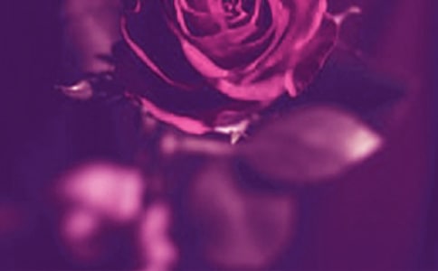 ����������f�f����