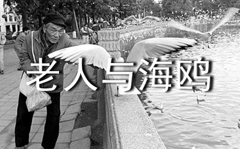 老人與海鷗