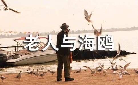 《老人與海鷗》讀后感(精選30篇)