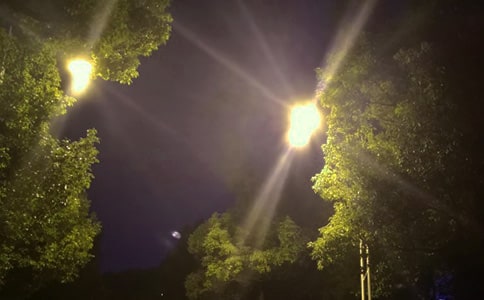 路燈狀物作文(精選38篇)