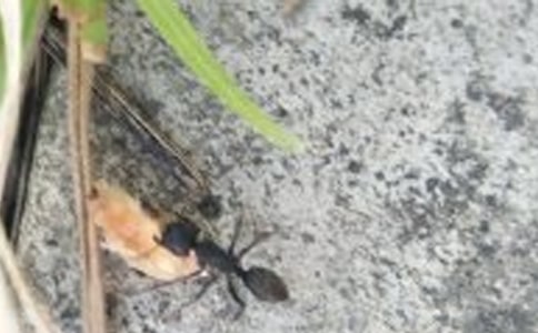 �P(gu��n)���^��Λρ��ӛ���\��ƪ