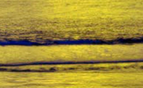 �����@��Ԋ�е���������