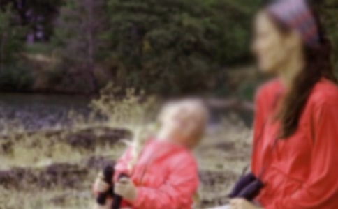 獻(xiàn)給母親的歌作文(經(jīng)典24篇)