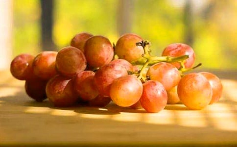 葡萄溝說課稿(通用12篇)