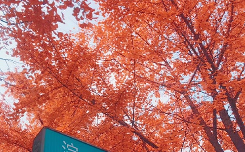 �������С����Ց��f�����������~עጷ��g�p��