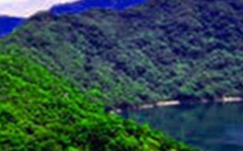 �P(gu��n)��ɽˮ�ĺ��~�þ�