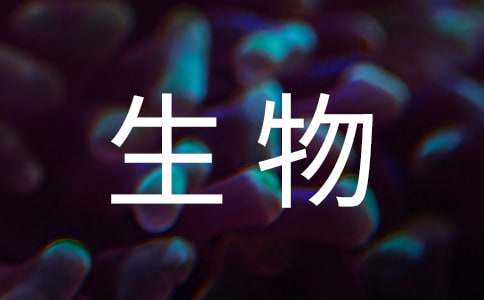 觀察生物日記