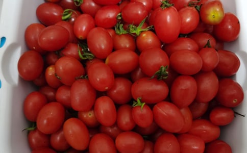 水果說明文作文(通用36篇)