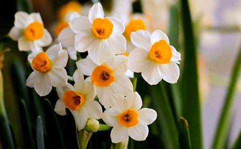 ֲ���B�m(x��)�^����ӛ��ˮ�ɻ�