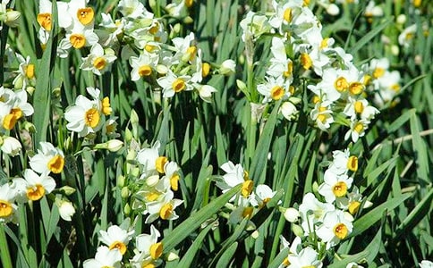 ���]��ˮ�ɻ����^����ӛ