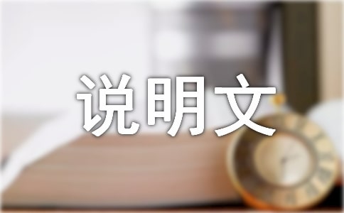 我的生活少不了它說(shuō)明文
