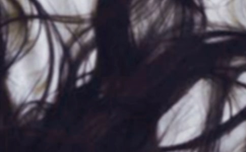 Ⱦ�^�l(f��)�zӑ�������x15ƪ��