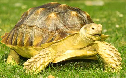 �����^����ӛ������