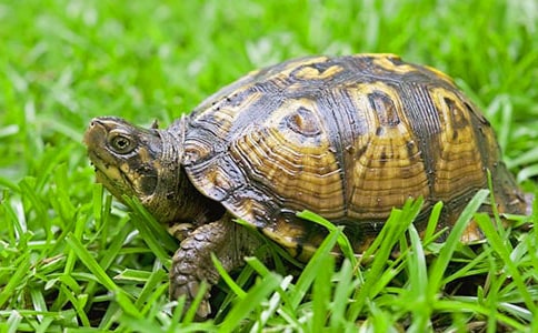 С�����^����ӛ�����x33ƪ��