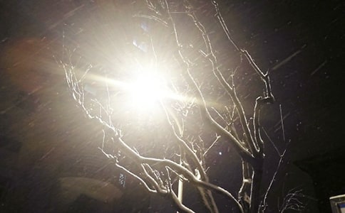 �^����ѩ��ӛ�����x53ƪ��