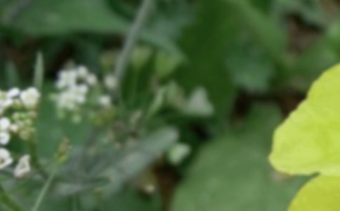 2020��ף�����옷(l��)��ף���Z(y��)�R��42�l