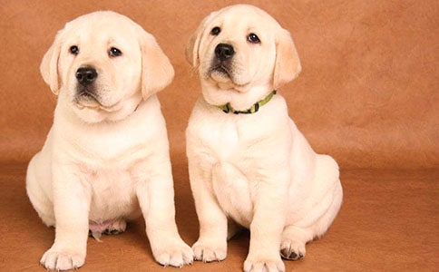 �^��С����ӛ�R��9ƪ