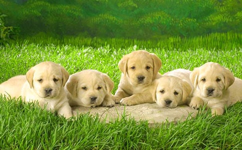 ����С���^�콛(j��ng)�v��ӛ