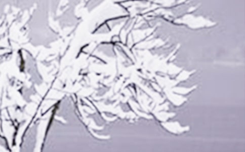 小雪節(jié)氣唯美說(shuō)說(shuō)(精選70句)