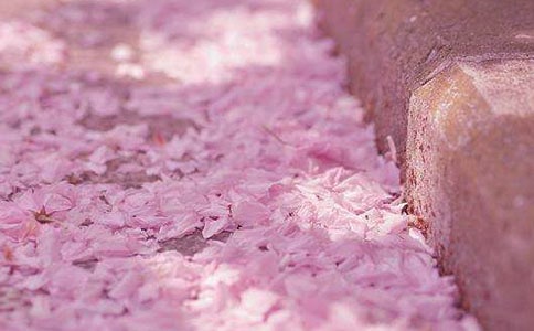 �茑�ѻ��ĺþ���