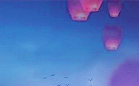 Ԫ���ѹ�(ji��)��ף���Z(y��)310��