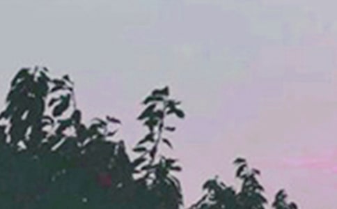 ����ʮ���簲���Z(y��)