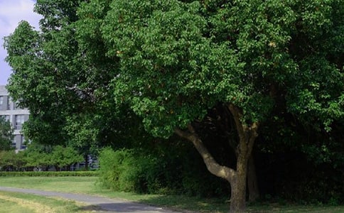 ���õ��簲ף���Z