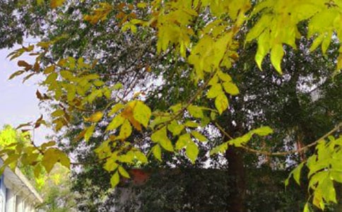 早安勵(lì)志心語簡短句子