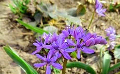 �����]��ÿ��һ���簲�����Z����