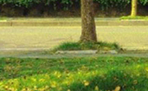 �P(gu��n)���簲�Ĝ�ܰ�f�f