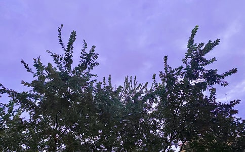 ��ܰ���簲��(w��n)�����