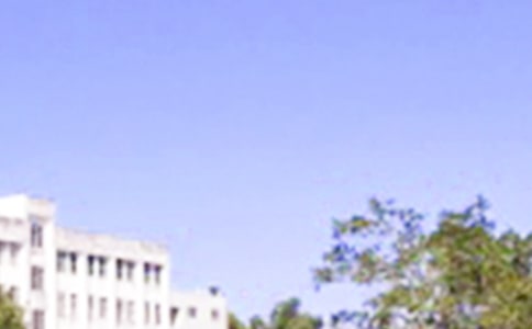 微信每日早安心語