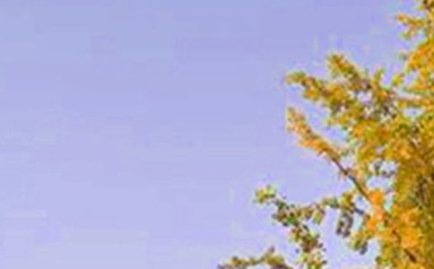 ͨ���簲������Ӷ��źϼ�53�l