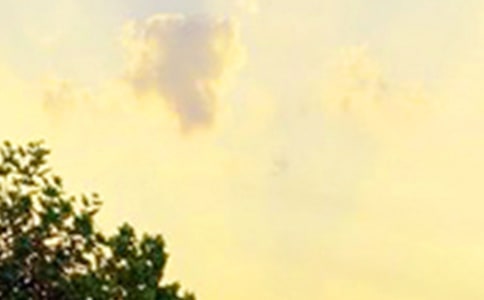 ��־�簲���Z��(j��ng)��̾�