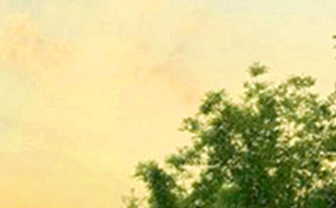 ů���簲��(w��n)���Z(y��)�����x65�䣩