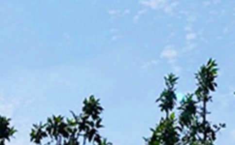 ��M�������Ą�־�簲���Z