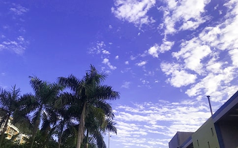 �簲��(l��)־�f(shu��)�f(shu��)������