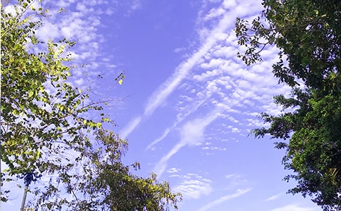 Ψ���簲�f�f��ȫ