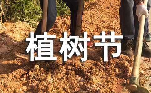 唯美植樹節(jié)祝福語句大全70句精選