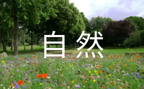 ���ܴ���Ȼ