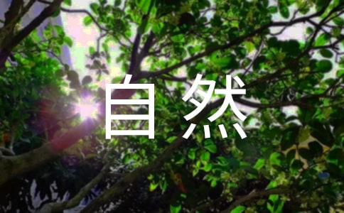 大自然感受作文