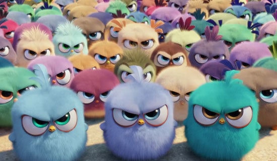 �P(gu��n)���茑��ŭ���~��