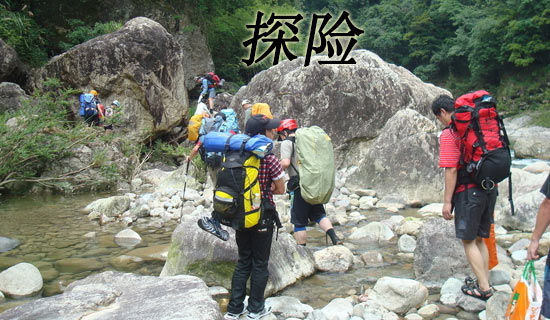 �����̽�U(xi��n)֮�����꼉(j��)����500�֣����x95ƪ��