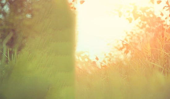 唯美的古詩(shī)詞五言絕句