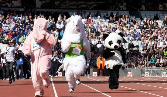 �����\�ӕ��ܲ�Ͷ��